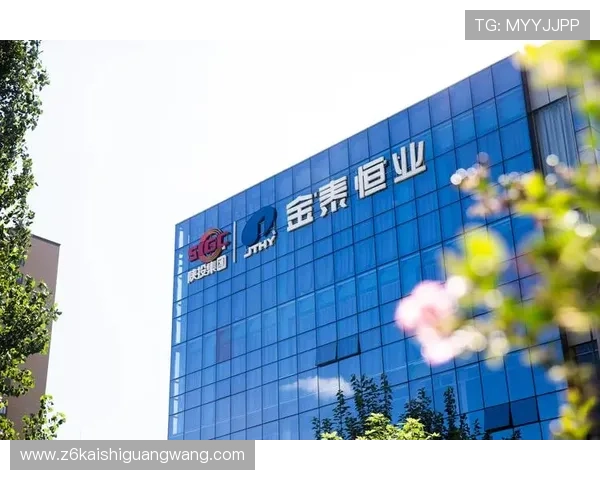 解析尊龙Z6官网国际版的技术创新， redefining 高端消费标准