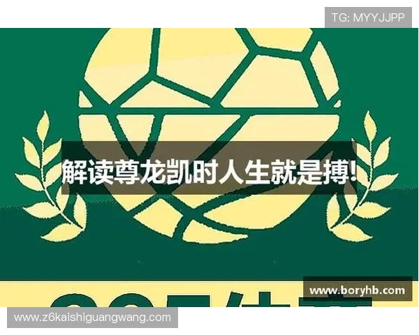 尊龙app客户端平台的用户评价与反馈,了解真实使用体验与改进建议